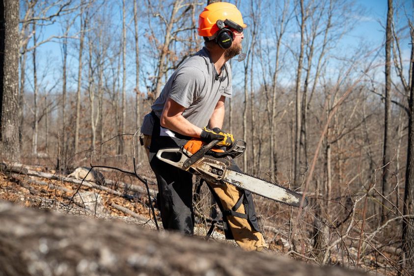 INVASIVE_PLANT_SPECIES_1