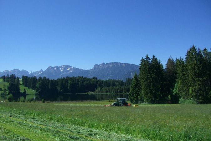 Use Caution for Wildlife While Cutting Hay