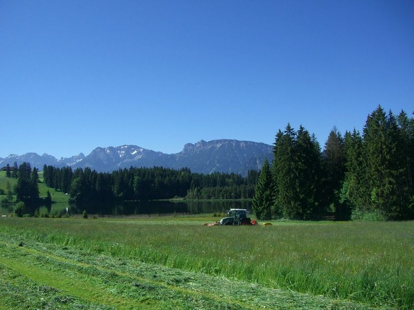 Use Caution for Wildlife While Cutting Hay