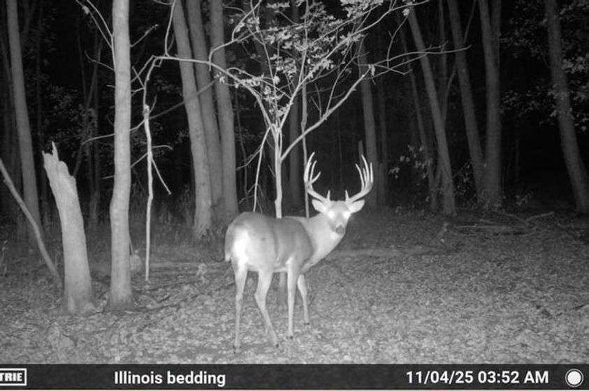 9.Affordable-Illinois-Farm