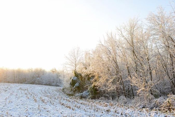 Christmas Gifts for The Deer Land Manager