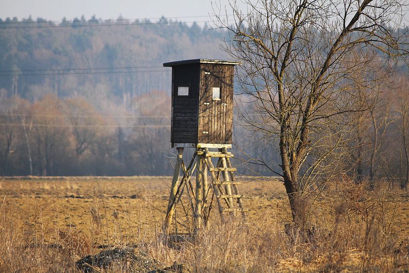 Build an Inexpensive Hunting Blind