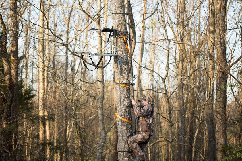 Effective Tree Stand Placement Whitetail Properties