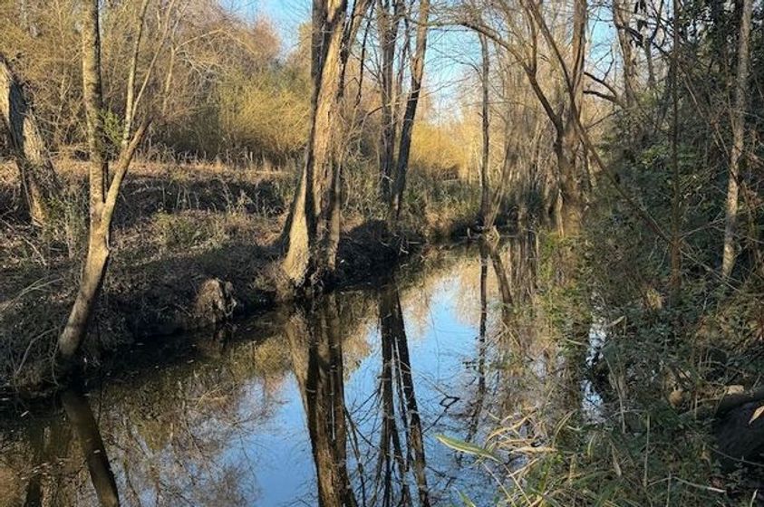 7-31.4 Acres of Prime Hunting Land Along Crisp Creek in Edgecomb County