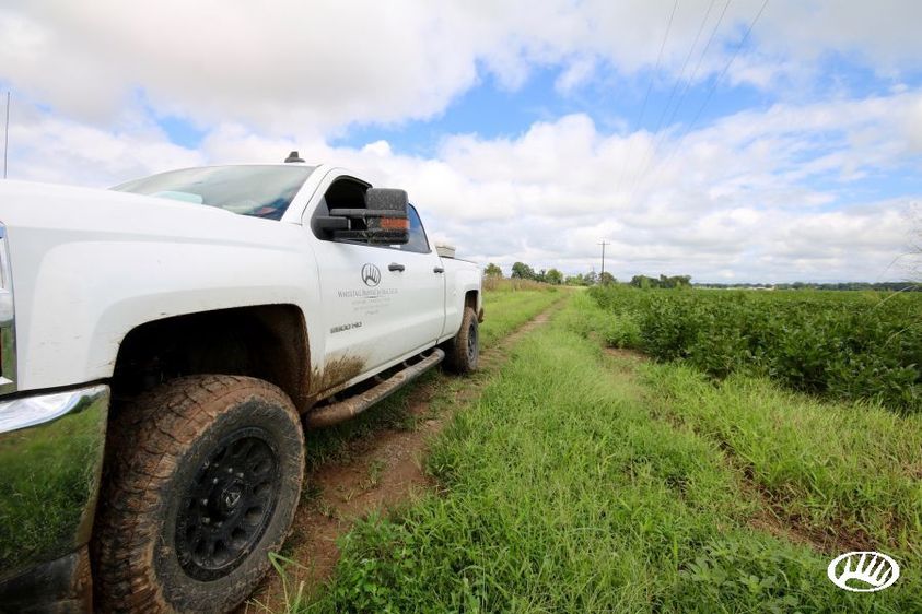 Hunting Property with Timber - Southwest Arkansas