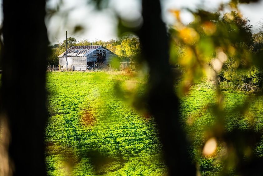 Wisconsin-Land-For-Sale-6