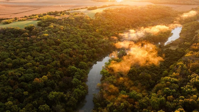 Real_Estate_Trends_Tools_Tactics_5