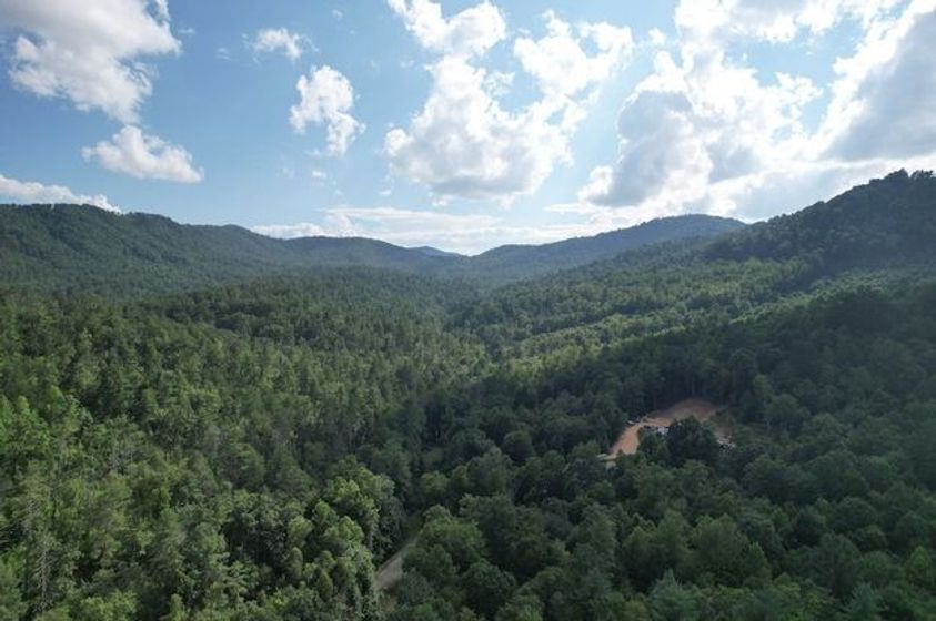 10-24 Acres of Adjacent Parcels with Privacy in Burke County