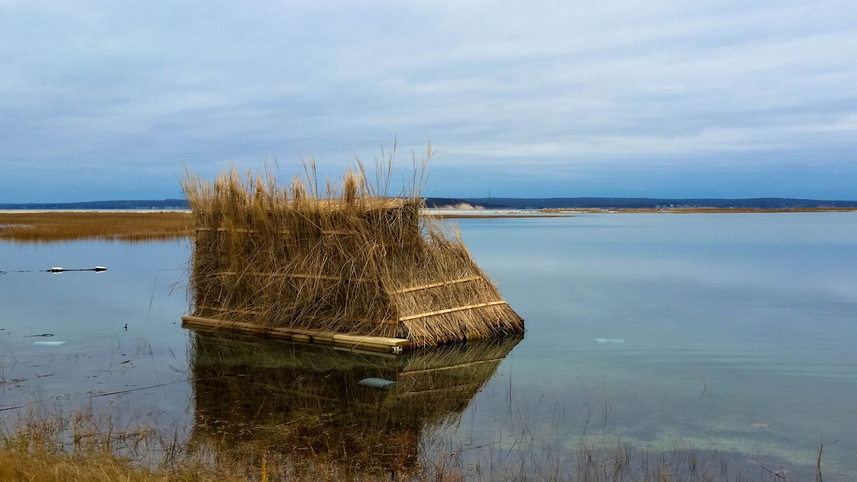 How to Build a DIY Floating Platform Duck Blind - Wildfowl