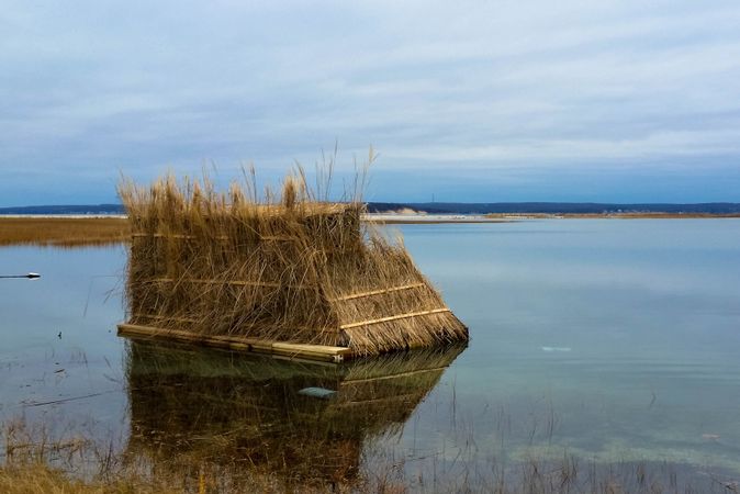 How to Build a Duck Blind
