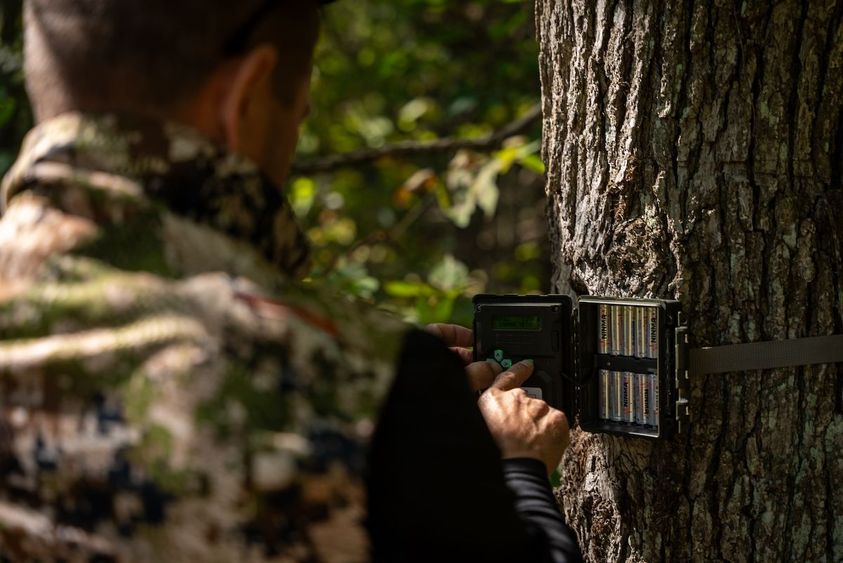 Maximizing Trail Camera Efficiency-6