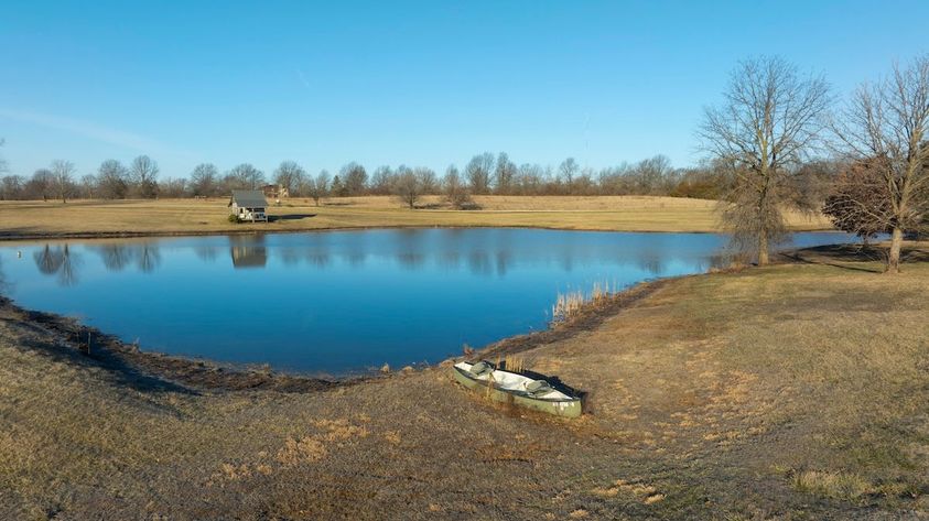 Consider pond size when stocking it with fish.