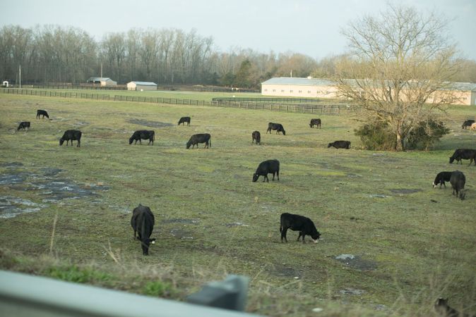 Turning Farmland Into Hunting Land