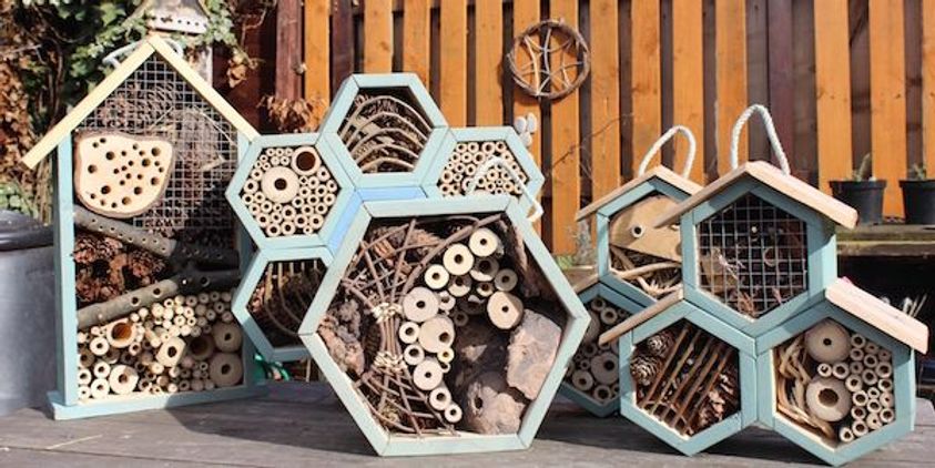 Build a Bee Habitat
