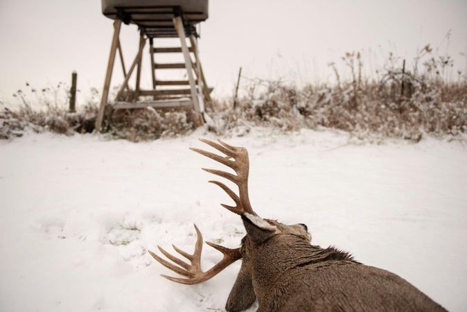 Late-Season Deer Hunting