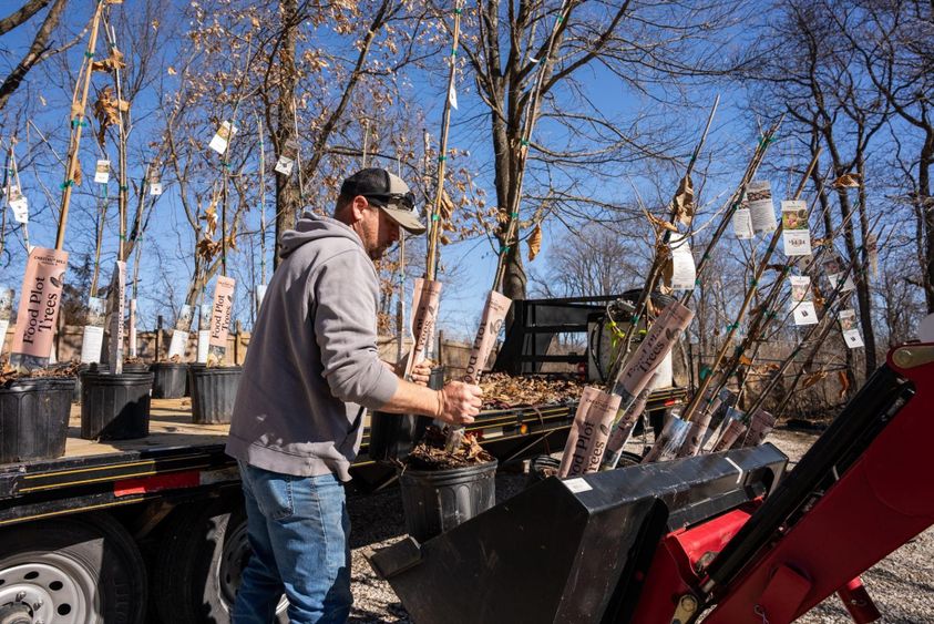 Chestnut Hill Outdoors fall tree planting