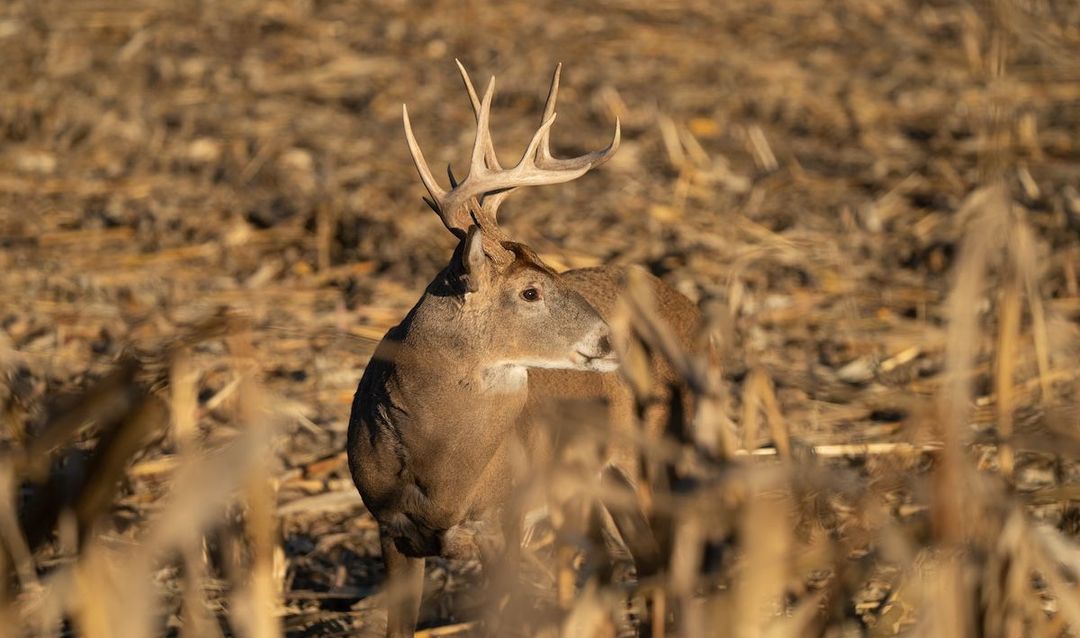 Hunting-Land-Appraisal-1