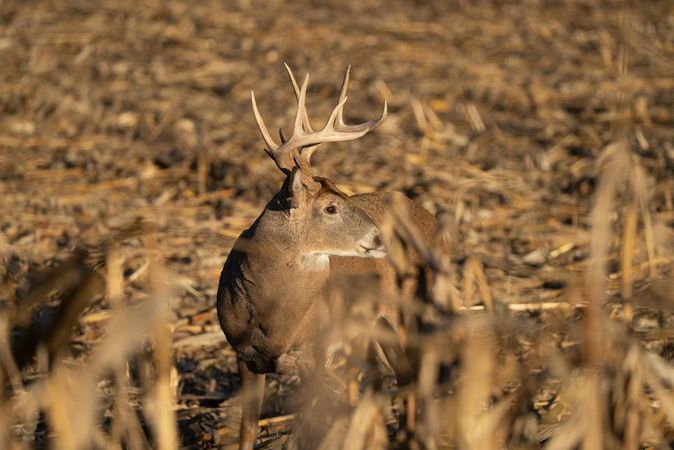 Hunting-Land-Appraisal-1