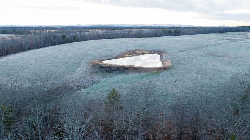 Maintain your pond(s) in a safe, effective manner.