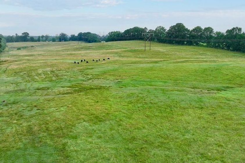 6-36.67 Acres of Pasturelands with Paddocks and a Spring-Fed Pond in Warren County