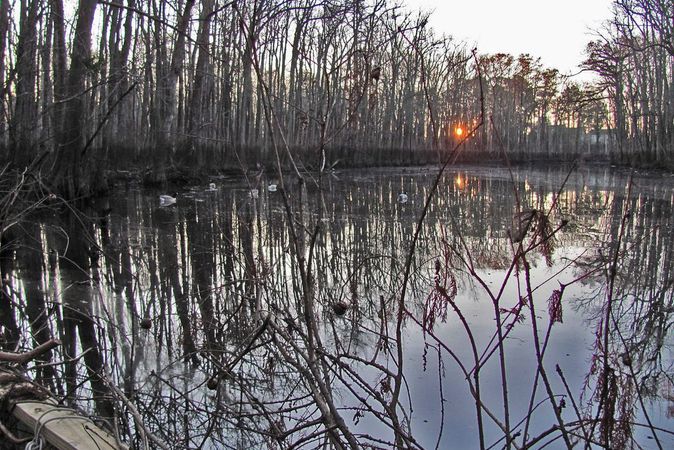Building The Duck Hole of Your Dreams