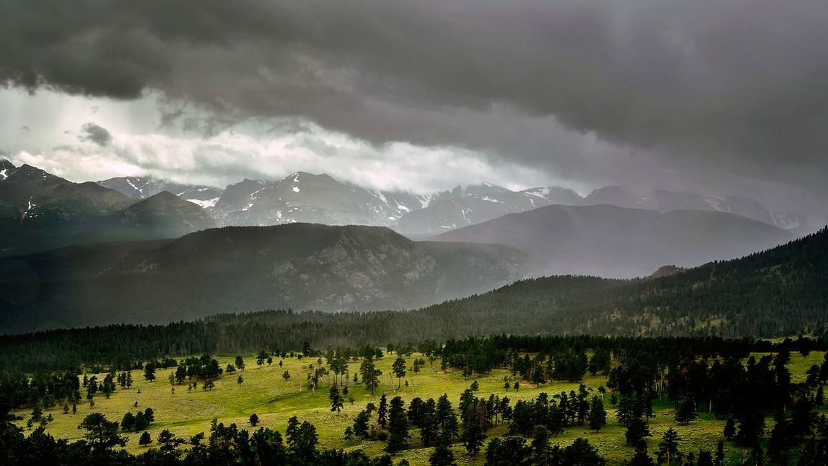 What to Look for When Buying Elk Property Whitetail Properties