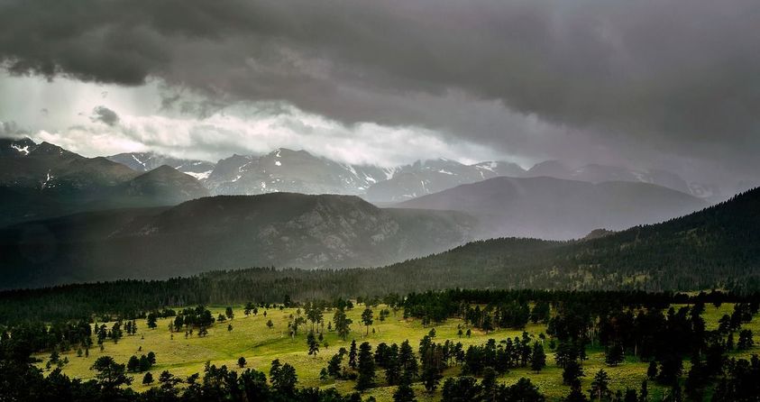 What to Look for When Buying Elk Property