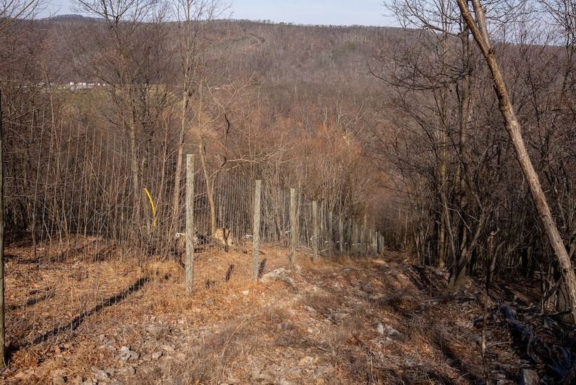 Copy of Hampshire WV 200 Featured_Pro Photo-11