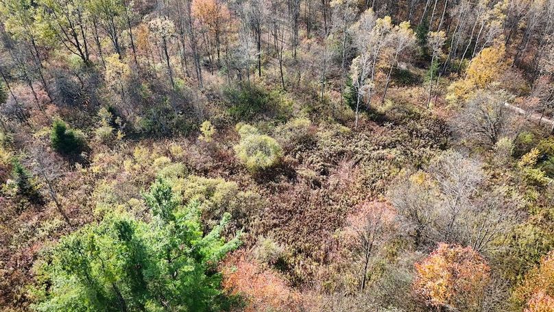 DJI_20251019122402_0757_D