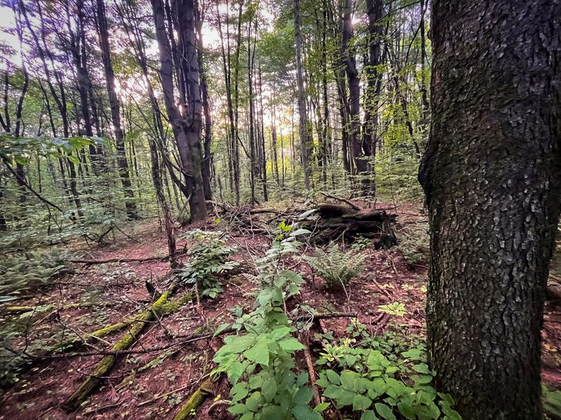 Oswego_30_RouselandInvestments_LLC_Photos_24