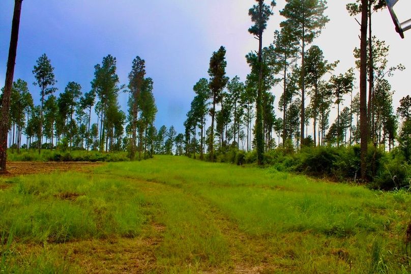 B941E405-A1FE-4BC0-A9BC-63B1DC14FF29_1_105_c