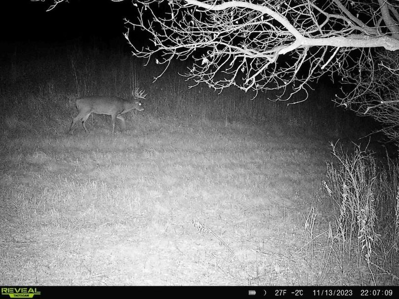 Messenger_creation_814C8EB3-6BFE-4A1C-8917-5A737F04C8A9