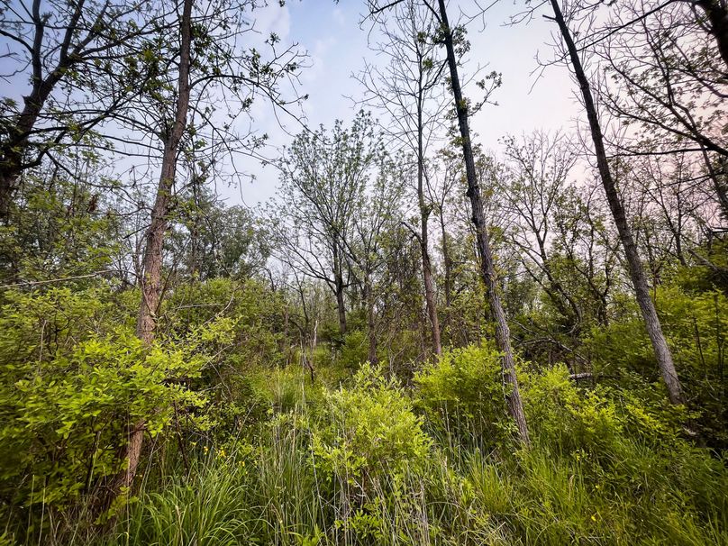 Ontatio_73.3_Green Photo 25