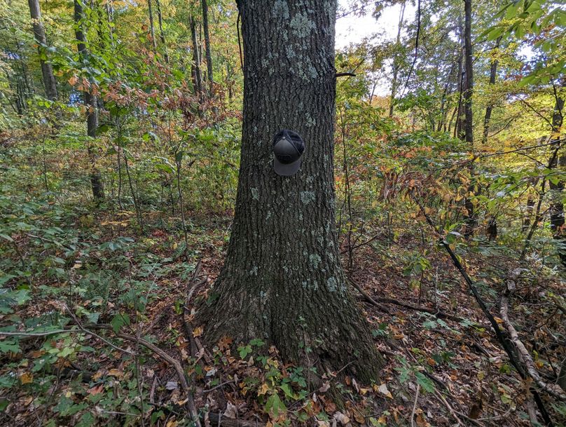 PXL_20231004_192848411