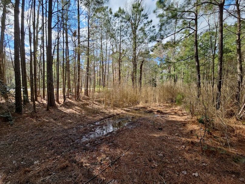 Romancoke_QAnnes_PIC_011