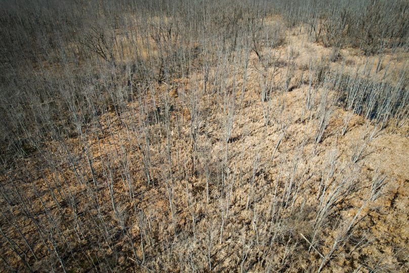 Oswego_165.52_Lashomb_Photos_40