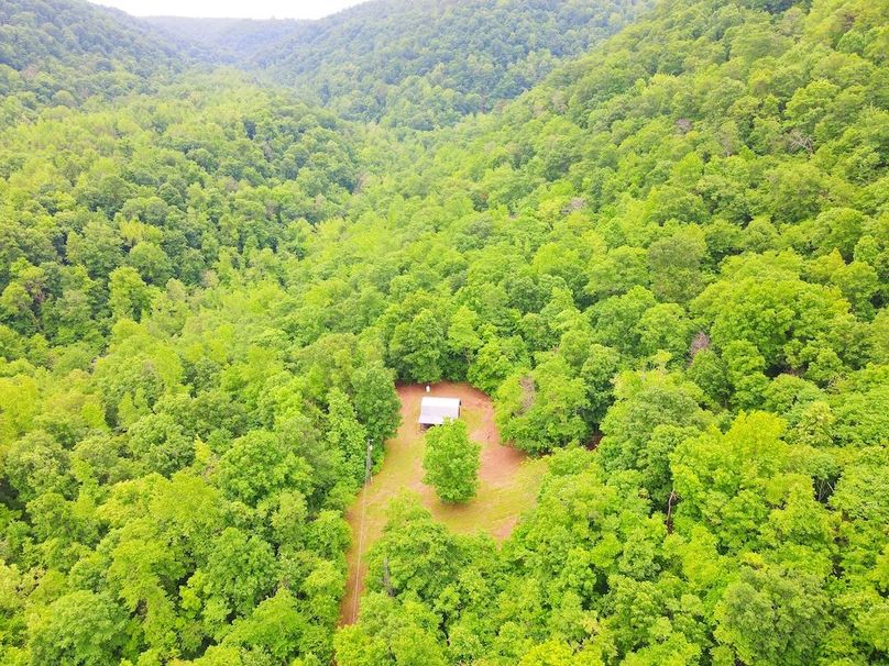 DJI_0339