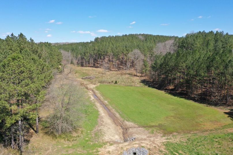 023_Food Plot