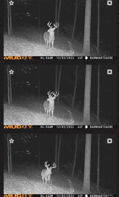 5. 