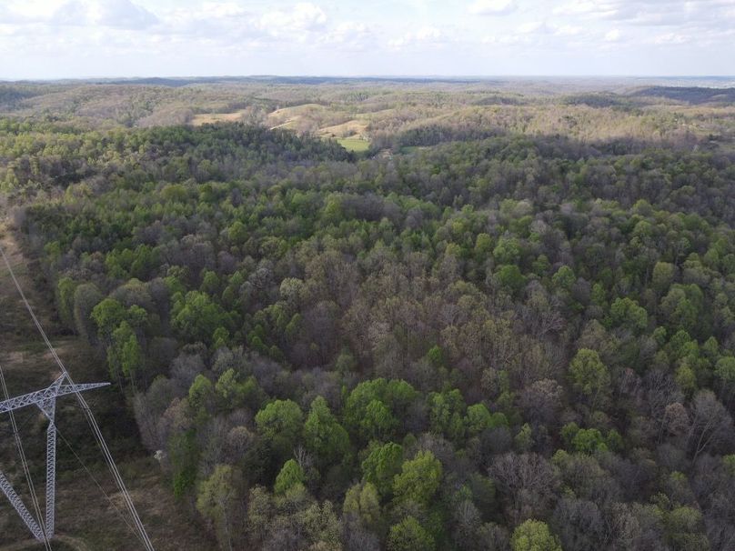DJI_0890_W