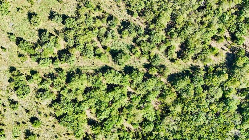 dji_fly_20250728_095200_0054_1753739691134_photo