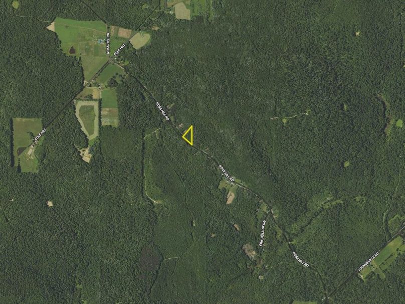 Screen Shot 2024-01-31 at 11.16.17 AM