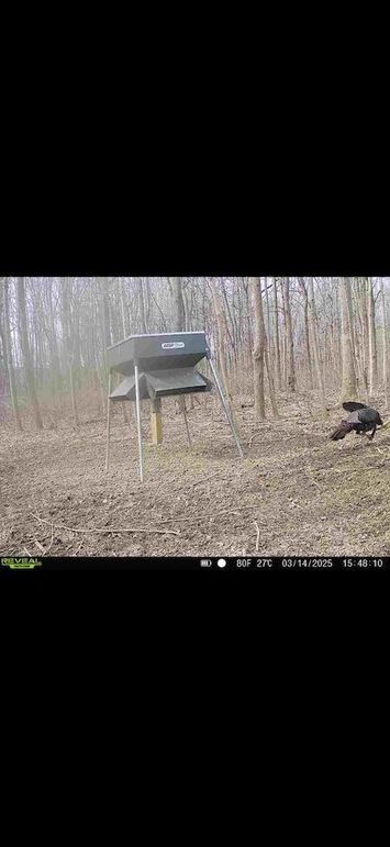 Screenshot 2026-02-12 at 10.48.23 AM