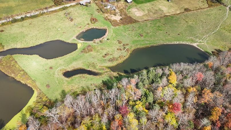 DJI_20251017124925_0705_D