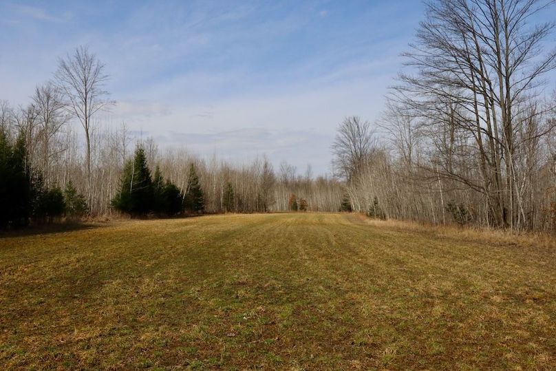 Copy of Copy of IMG_0557