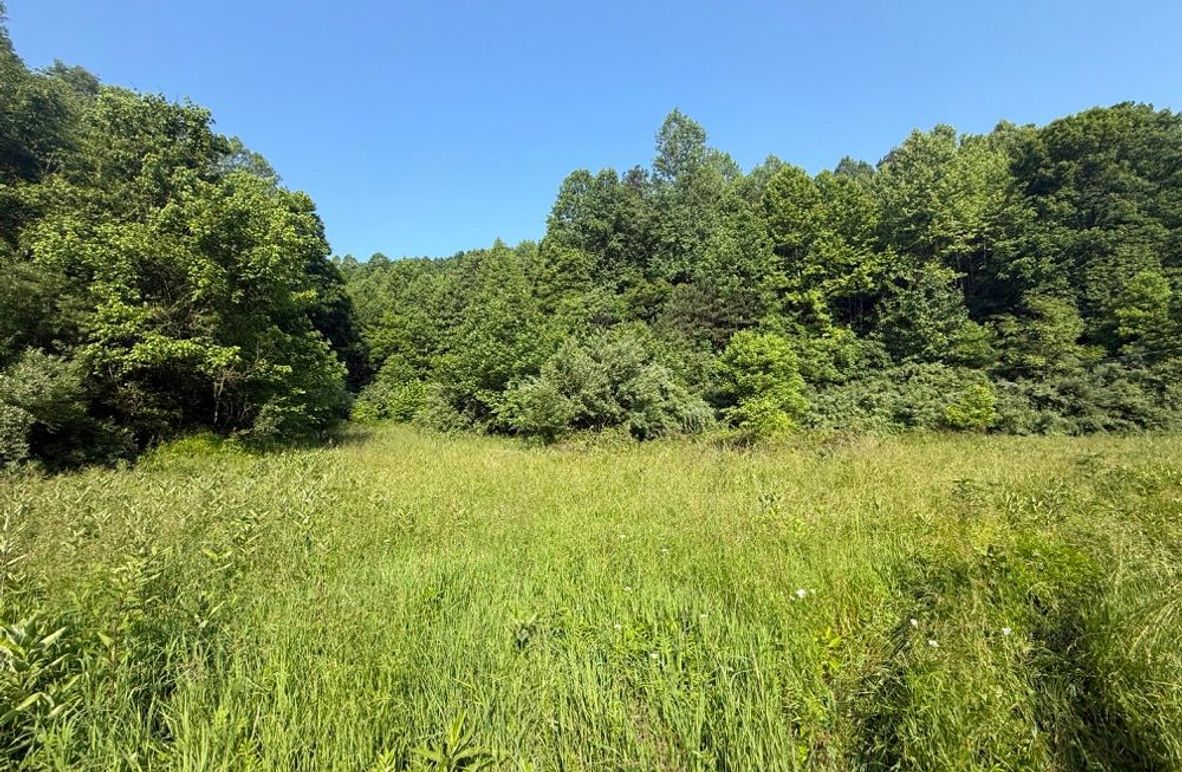 001 the old homestead and open field area near the north entrance-2