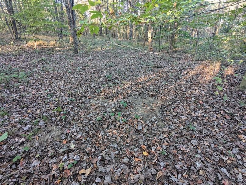 PXL_20251001_215046372