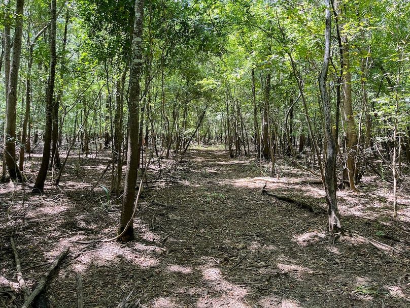 24 Leon Co. 117ac-37