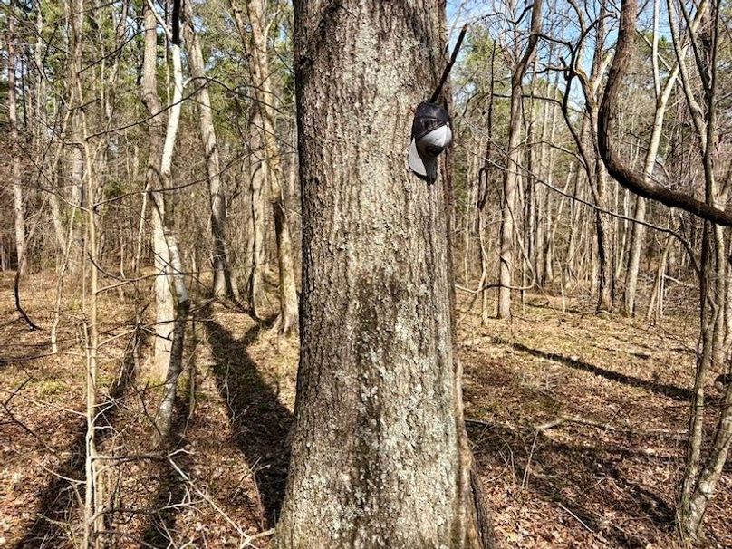 29452CA5-BC9E-41F4-8871-F36A7ADF3376_1_105_c