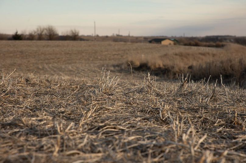 MONTGOMERY CO IA 156.78_58